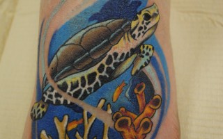 DSC_0176 DSC_0176