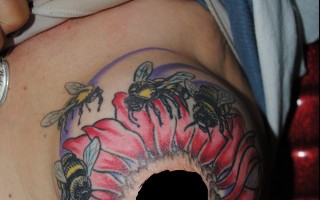 DSC_0213 DSC_0213