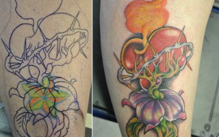 nate_coverup3 nate_coverup3