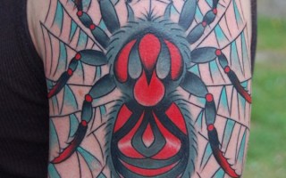 spider