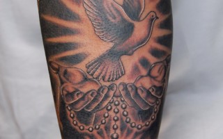 the_dove
